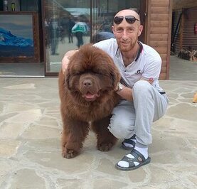 Ден Шевченко