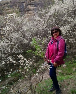 Елена